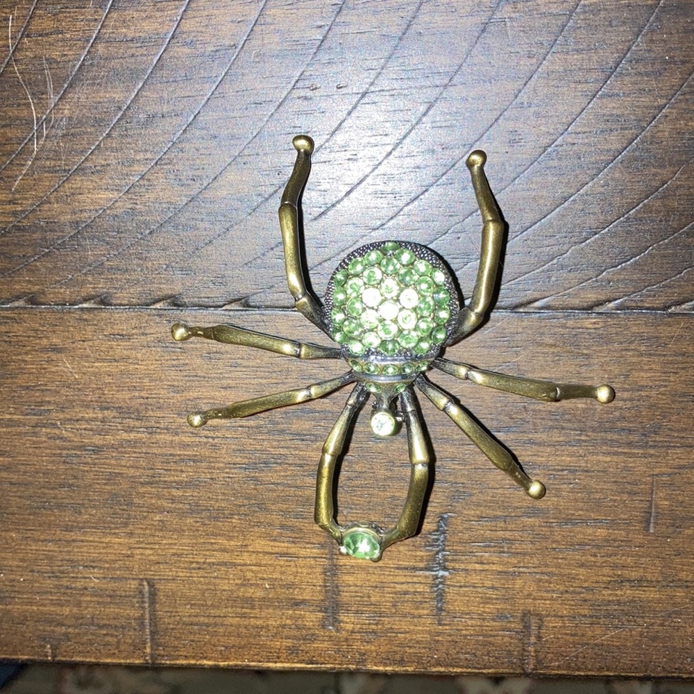 Spider Brooch - Picture 2 of 4